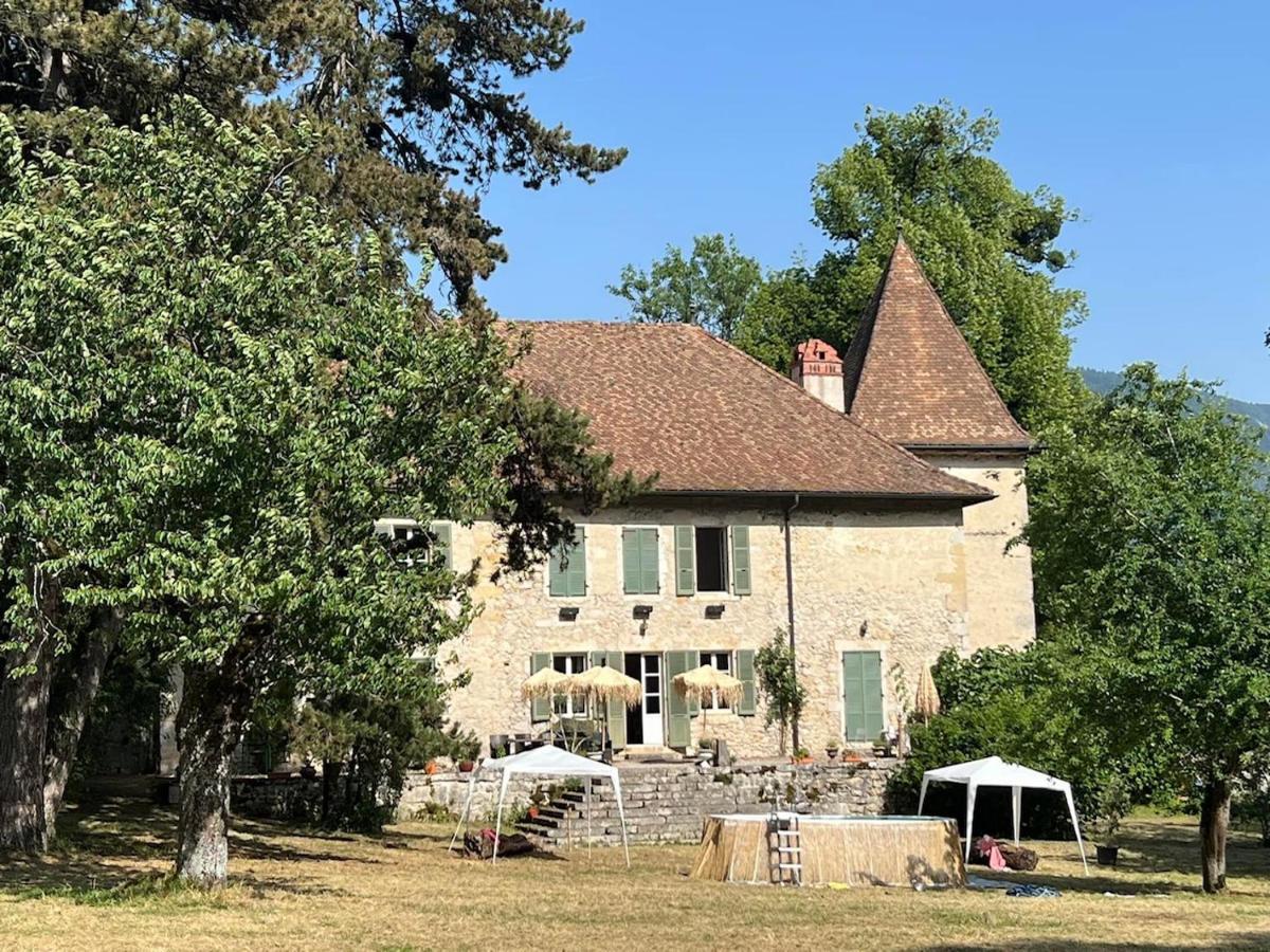 Domaine Du Tres-Haut - Chateau De Montanges 外观 照片