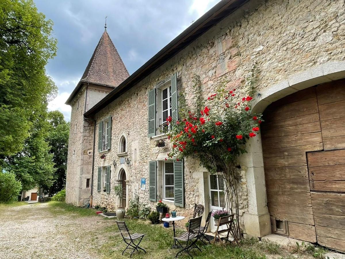 Domaine Du Tres-Haut - Chateau De Montanges 外观 照片