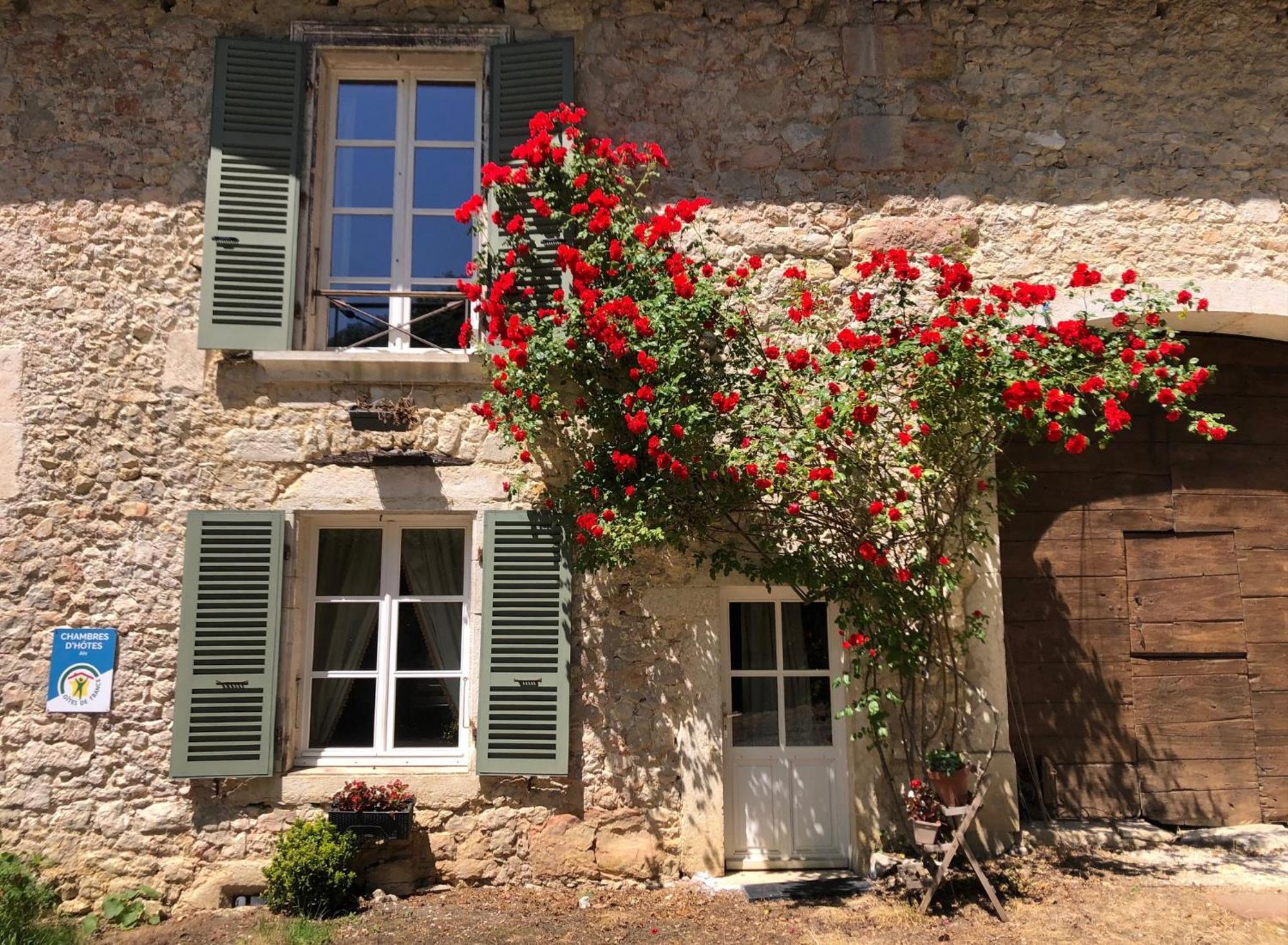 Domaine Du Tres-Haut - Chateau De Montanges 外观 照片