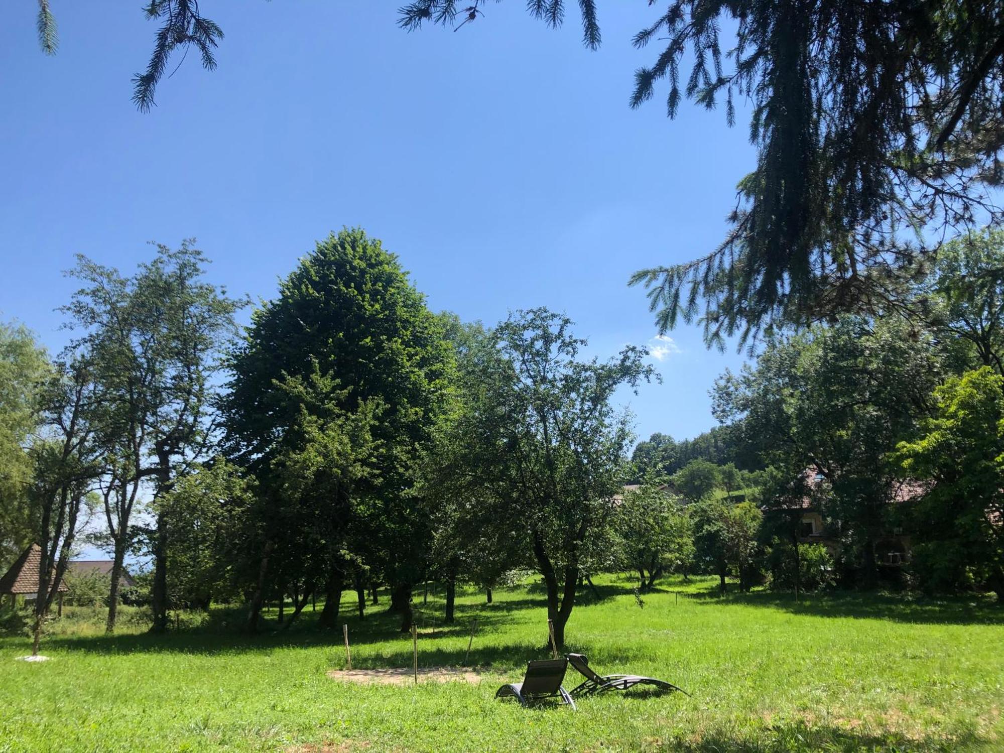 Domaine Du Tres-Haut - Chateau De Montanges 外观 照片